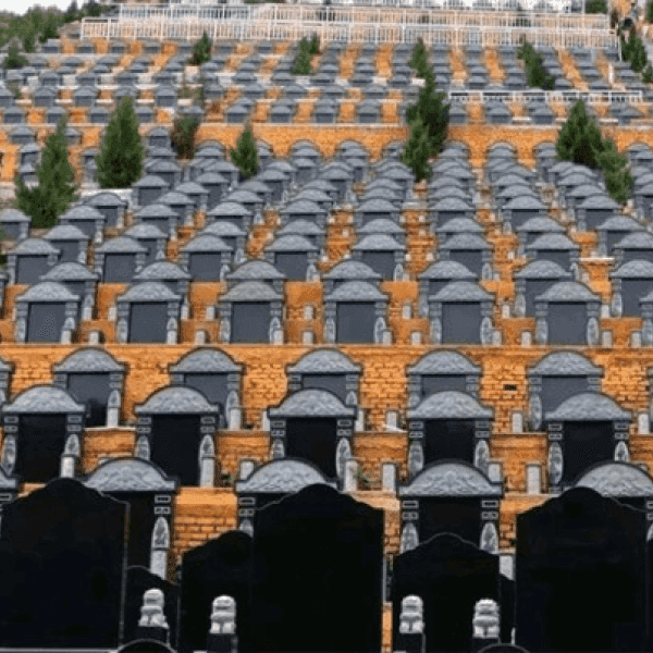 镐京骨灰公墓传统立碑