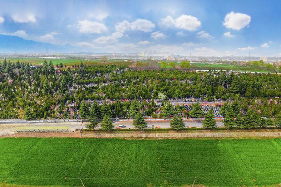 枣园山生态人文纪念园景观图