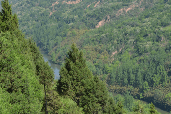 凤栖山墓园南区景观图