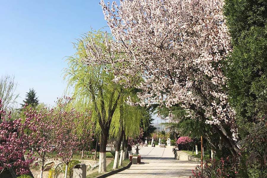 慈恩园公墓景观图