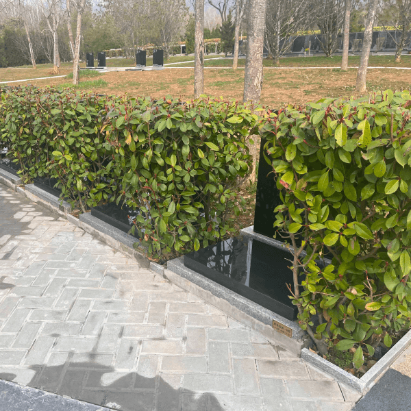 莲花山人文纪念公园传统立碑