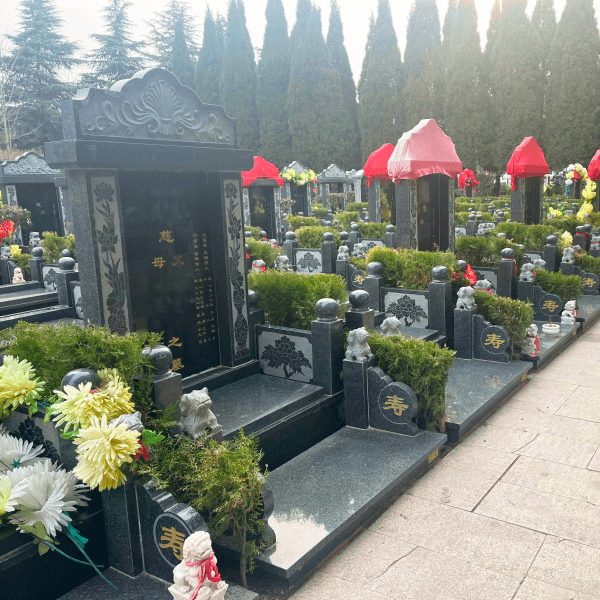 青龙岗纪念园传统立碑