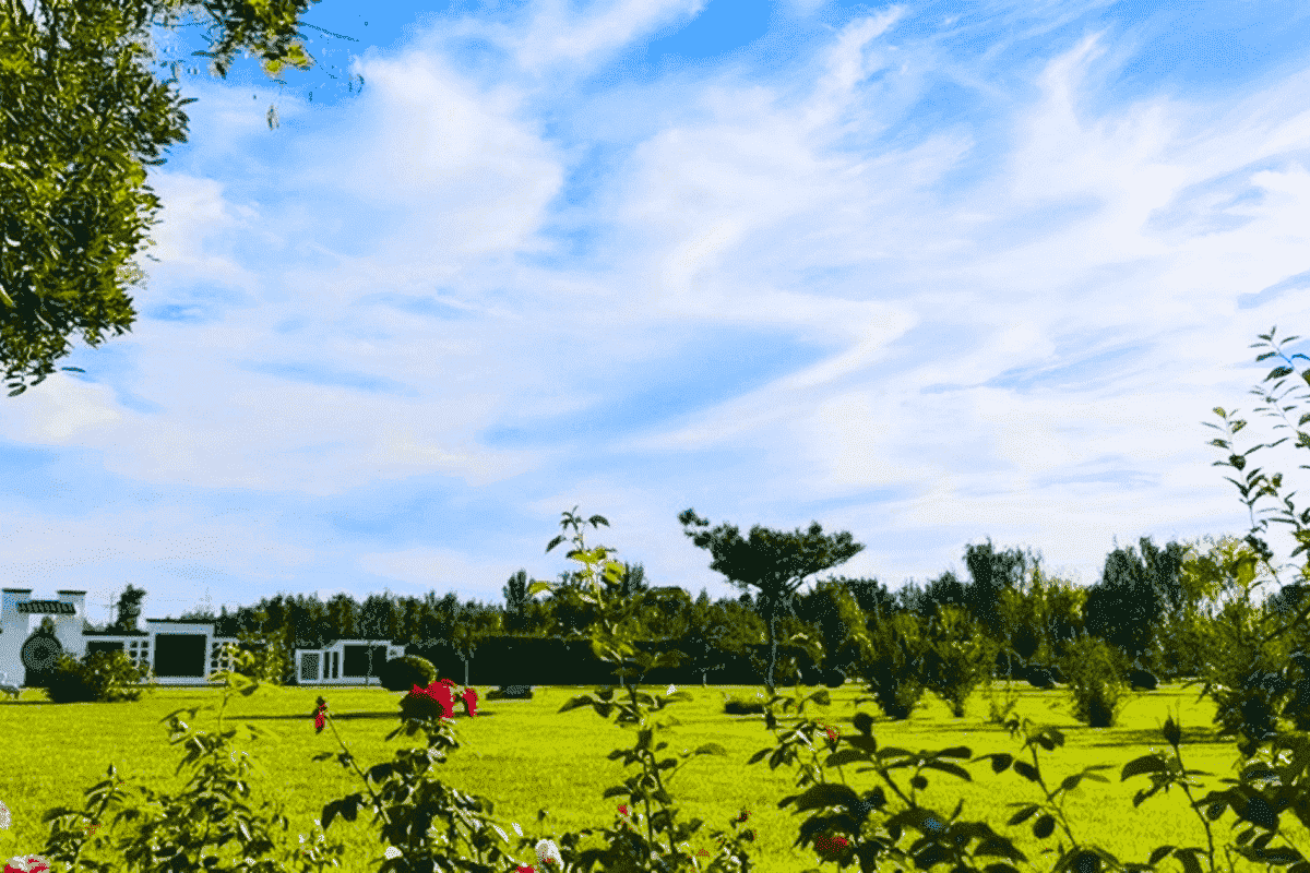 菊花平台李女士对福轩公墓的评价图片