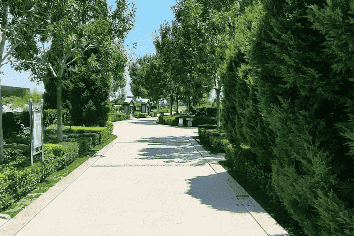 菊花平台刘先生对永安陵园的评价图片