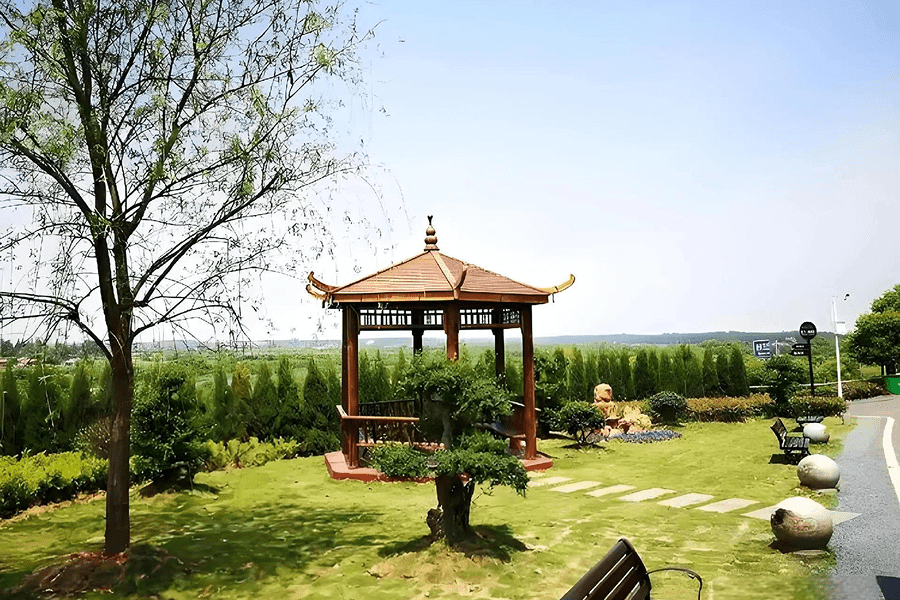 菊花平台卫女士对睡虎山陵园的评价图片
