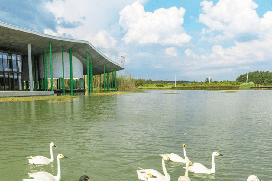 菊花平台赵女士对仙鹤湖湿地园陵园的评价图片