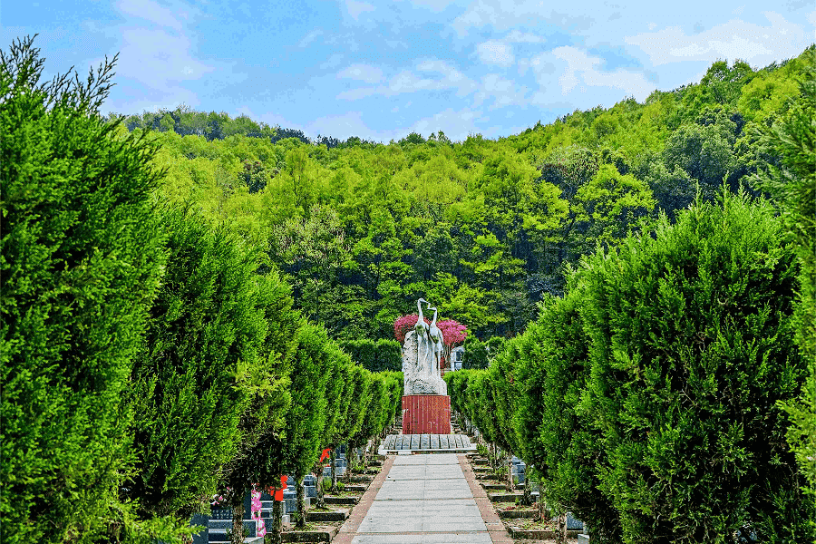 菊花平台王女士对九峰寿安林苑的评价图片