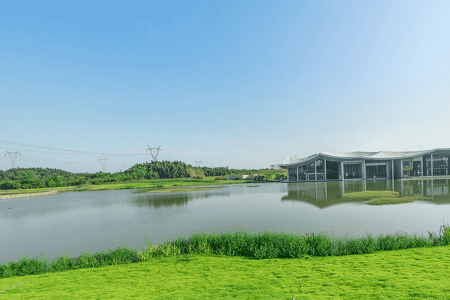 菊花平台刘先生对仙鹤湖湿地园陵园的评价图片