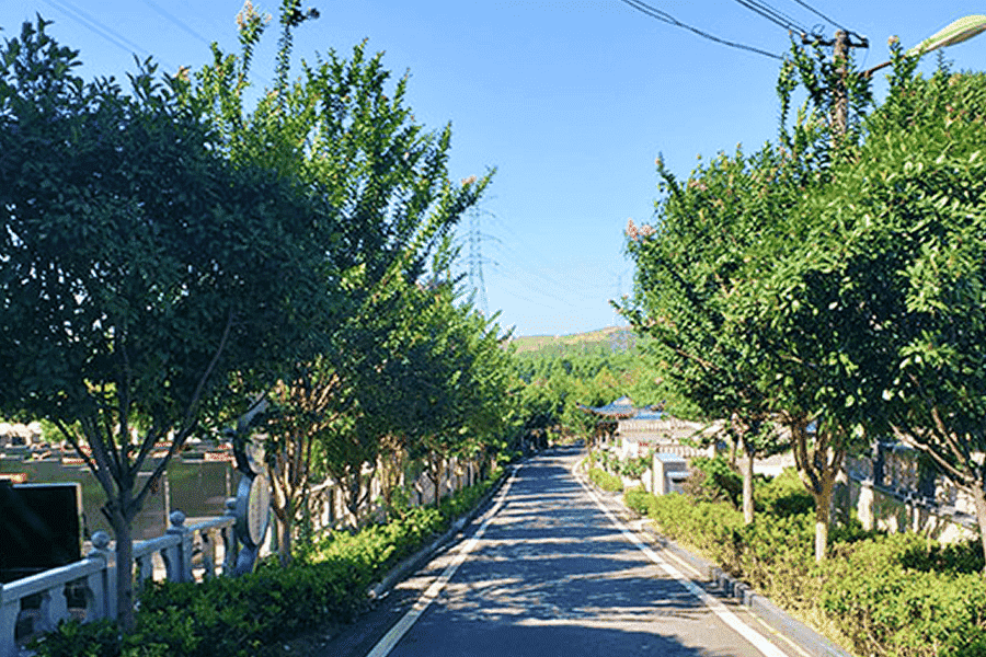 菊花平台王女士对扁担山墓园的评价图片
