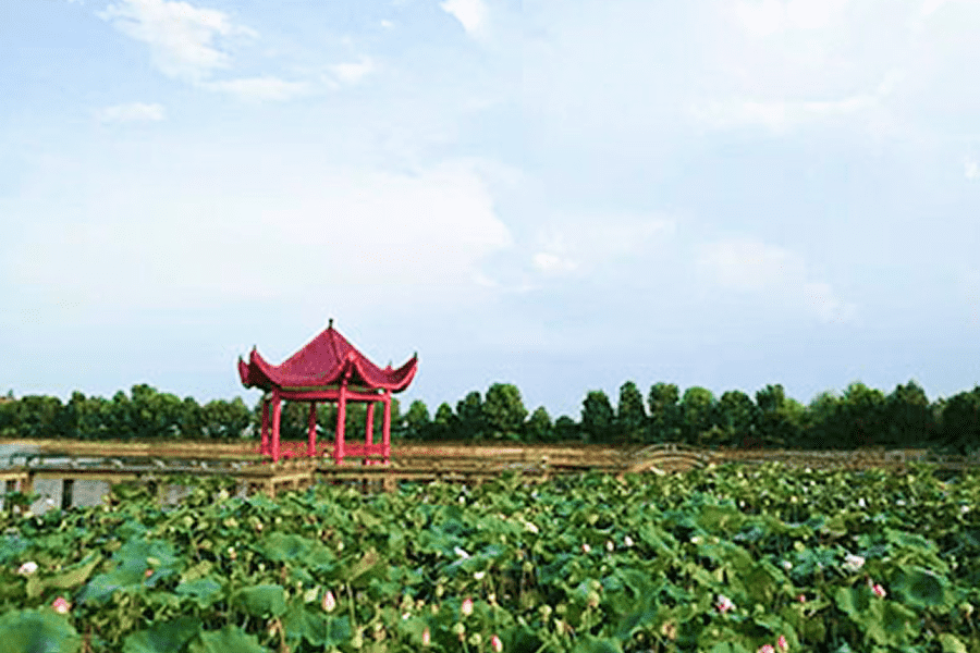 菊花平台张女士对归元陵园的评价图片