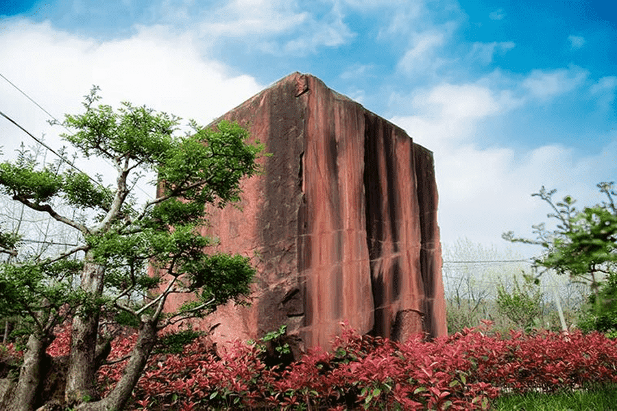 菊花平台李女士对八叠山生命公园的评价图片
