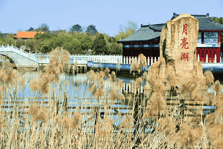 菊花平台刘女士对长乐园陵园的评价图片